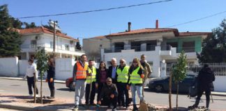 Εθελοντική Δενδροφύτευση dentro1
