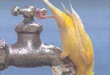 Λειψυδρία Λειψυδρία