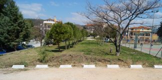 Δενδροφύτευση στο Ωραιόκαστρο